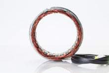Load image into Gallery viewer, Ricks Motorsport Electric Stator 27-21420 for motorcycle electrical system, showing metallic coil components and wiring connections.