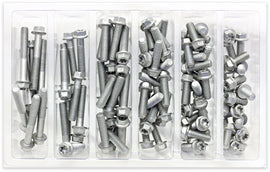 Assorted M6 Euro Torx flange bolts in a BOLT hardware kit, showing 100 pieces of fasteners for construction and repair projects.