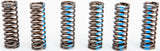 Pro Circuit - Clutch Springs - 793-6040
