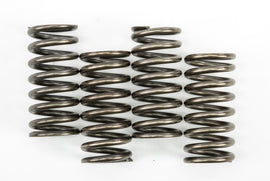 EBC Motorcycle Brakes clutch springs Csk248 15-17248, close-up of black coil springs for motorcycle clutch system.