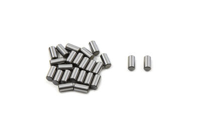 Left Side Case Roller Bearing Set Standard