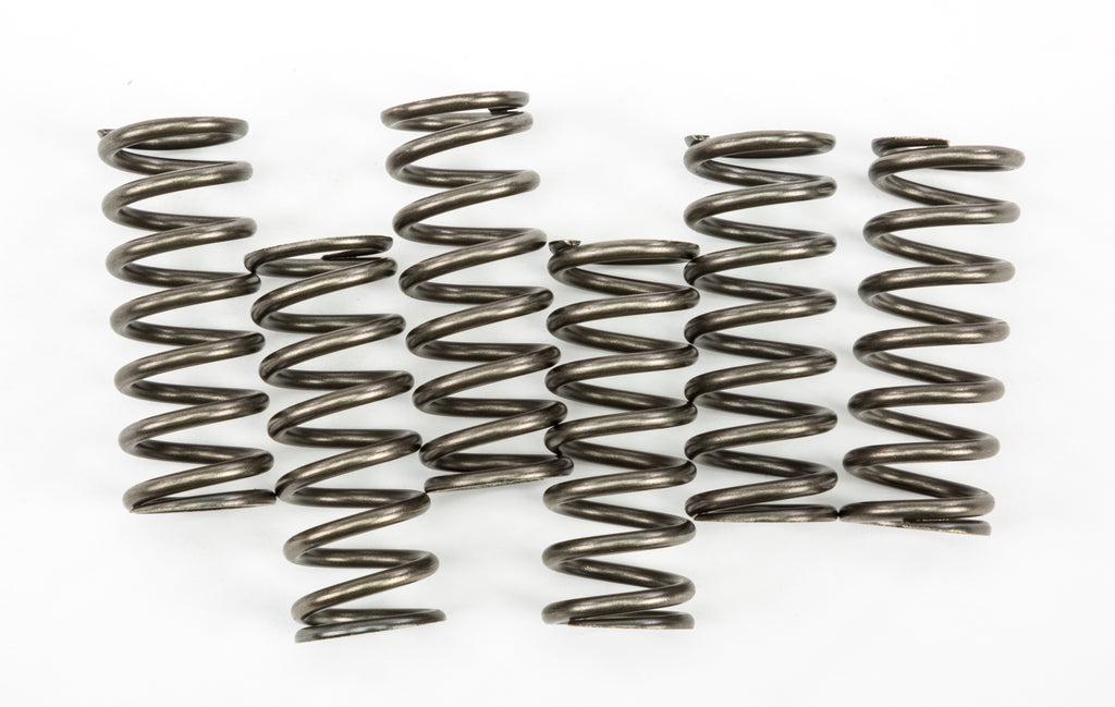 EBC Motorcycle Brakes clutch springs Csk221 15-17221, close-up of black coil springs for clutch assembly on a motorcycle.