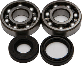 All Balls engine crankshaft bearing and seal kit 22-41008 showing metal bearings and rubber seals for engine maintenance