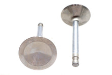 Charger l'image dans la galerie, Ultima Intake Valve Stainless Steel
