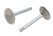Charger l'image dans la galerie, Ultima Intake Valve Stainless Steel
