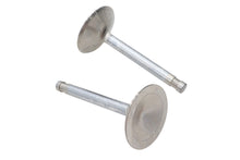 Charger l'image dans la galerie, Ultima Intake Valve Stainless Steel
