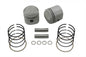74 inch Overhead Valve Piston Set Standard Size