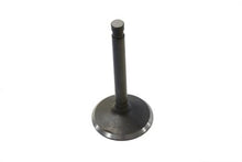 Charger l'image dans la galerie, Nitrate Steel Intake Valve