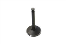 Charger l'image dans la galerie, Nitrate Steel Intake Valve