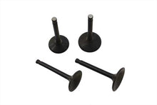 Charger l'image dans la galerie, Nitrate Intake and Exhaust Valve Set