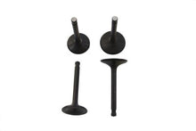 Charger l'image dans la galerie, Nitrate Intake and Exhaust Valve Set