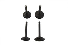 Charger l'image dans la galerie, Nitrate Intake and Exhaust Valve Set