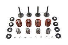 Charger l'image dans la galerie, Nitrate Valve and Spring Kit