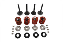Charger l'image dans la galerie, Nitrate Valve and Spring Kit