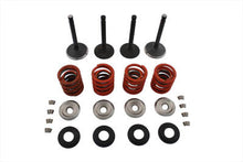 Charger l'image dans la galerie, Nitrate Valve and Spring Kit