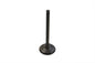 1200cc Nitrate Steel Intake Valve