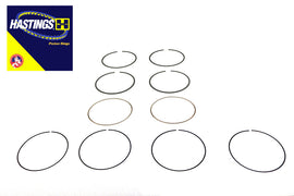 107 inch M8 Moly Piston Ring Set .005