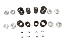 Charger l'image dans la galerie, Sifton XL Valve Spring Kit