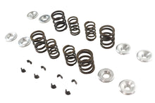 Charger l'image dans la galerie, Sifton XL Valve Spring Kit