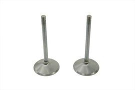 Manley stainless steel engine intake valves, high-performance automotive parts with polished metal finish.