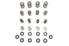 Charger l'image dans la galerie, Manley engine valve spring kit with multiple springs and components for automotive performance and engine maintenance.