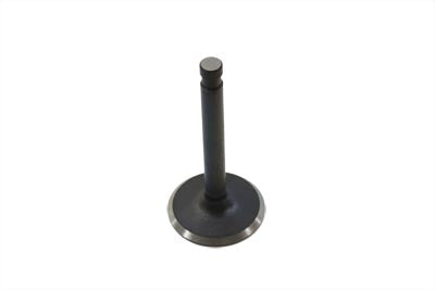 Nitrate Intake Valve