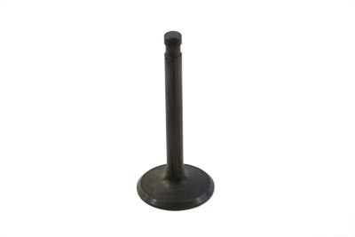 Stainless Steel Nitrate Intake Valve