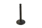 Stainless Steel Nitrate Intake Valve