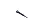 Oil Pump Adjuster Screw
