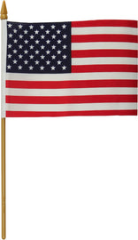 HardDrive Replacement Flag 4x6 accessory with no mount, designed for hard drive enclosures and installations.