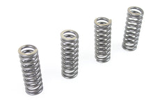 Charger l'image dans la galerie, 45 inch WR Valve Spring Set