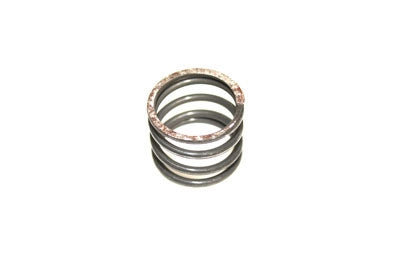 Handlebar Control Grip Spring