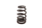 Ultima Conical Valve Spring, Standard