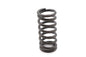 OE M8 Clutch Coil Spring Set