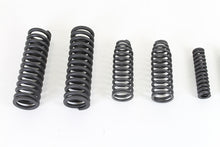 Charger l'image dans la galerie, VL Sring Fork Spring Set Parkerized