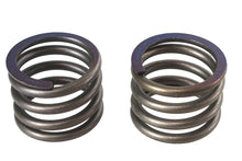 Charger l'image dans la galerie, 41mm Fork Lower Damper Tube Spring Set