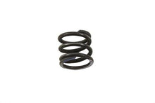 Charger l'image dans la galerie, Lower Fork Slider Springs