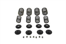 Charger l'image dans la galerie, Valve Spring Kit