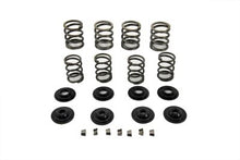 Charger l'image dans la galerie, Valve Spring Kit