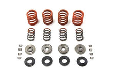 Charger l'image dans la galerie, Valve Spring Kit
