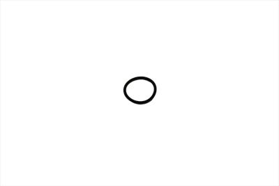 Shifter Lever Sleeve O-Ring