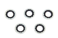 Charger l'image dans la galerie, Banjo Gasket