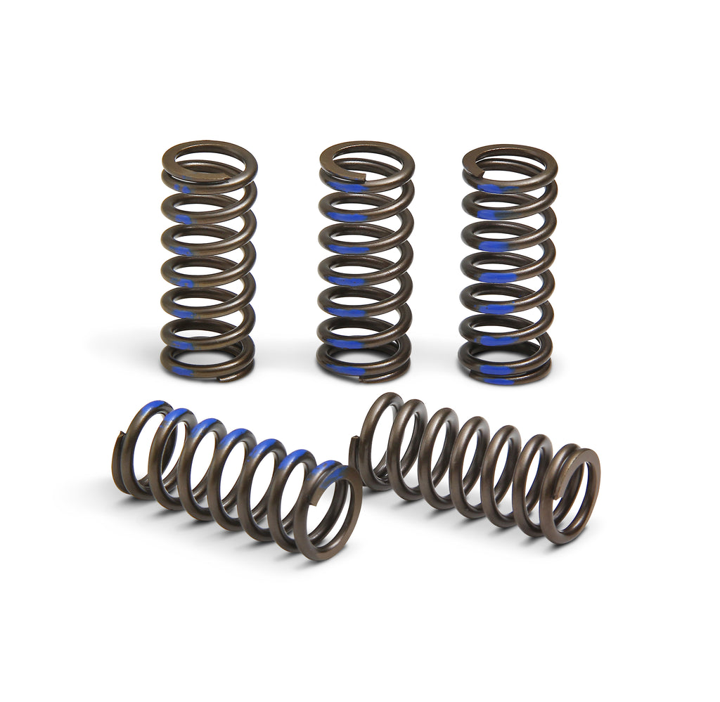 Pro Circuit clutch springs 793-6060, set of high-performance clutch springs for motorcycle clutch systems, shown in image.