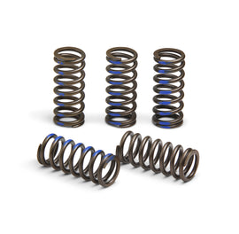 Pro Circuit clutch springs 793-6060, set of high-performance clutch springs for motorcycle clutch systems, shown in image.