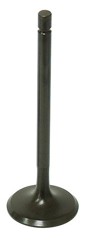 Bronco engine intake valve 183-09500 showing metallic valve with valve seat and stem for vehicle engine repair.