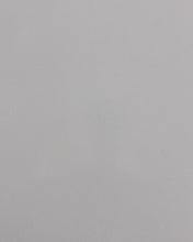 Load image into Gallery viewer, Cab Asylum Cage W/V Intrusion Ghost Grey