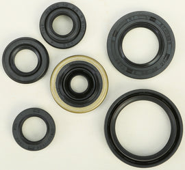 Vertex oil seal set 182-2176, gasket and seal components, close-up of black rubber seals for engine protection