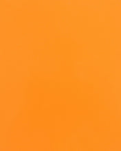 Load image into Gallery viewer, Baja Cage W/No Intrusion Orange