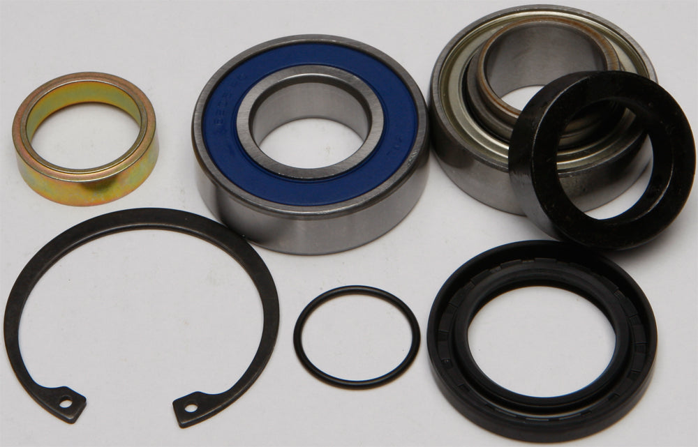 All Balls Drive Chain Case Bearing and Seal Kit 141-9039 showing seals and bearings for motorcycle drive chain maintenance