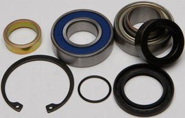 All Balls Drive Chain Case Bearing and Seal Kit 141-9039 showing seals and bearings for motorcycle drive chain maintenance